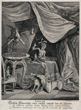 Two dogs, a cat and a monkey are combining their efforts to cajole a parrot out of its cage. Etching by J. E. Ridinger.