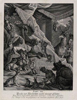 view A monkey is surrounded by wild animals in a luxurious environment and presented with crown and scepter by a fox when he shins down his throne to grab some grapes. Etching by J. E. Ridinger.