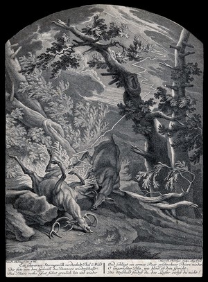 view Two deer struck by lightning in the forest. Etching by M. E. Ridinger after J. E. Ridinger.