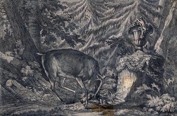 A stag carrying a head of ten tines fraying its head in front of a monument in the forest. Etching by J. E. Ridinger.