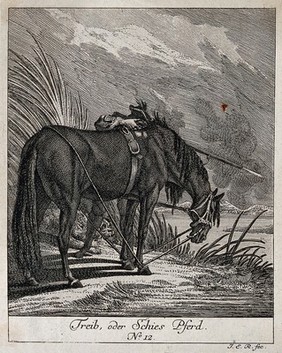 A shooting-horse is standing with its head tied to its hoofs and body near a lake while the huntsman hidden behind the horse is shooting fowl. Etching by J. E. Ridinger.