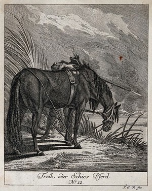 view A shooting-horse is standing with its head tied to its hoofs and body near a lake while the huntsman hidden behind the horse is shooting fowl. Etching by J. E. Ridinger.