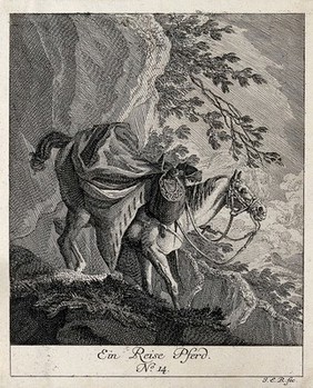 A horse packed with luggage, guided down a steep mountain by a horseman holding its reins. Etching by J. E. Ridinger.