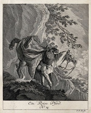 view A horse packed with luggage, guided down a steep mountain by a horseman holding its reins. Etching by J. E. Ridinger.