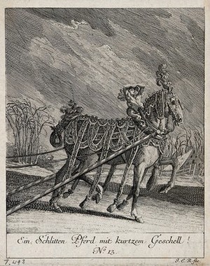 view A sleigh-horse with an elaborately ornamented harness. Etching by J. E. Ridinger.