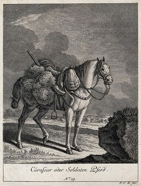 A soldier-horse with a shotgun attached to the saddle cloth standing in a field with a camp site in the background. Etching by J. E. Ridinger.