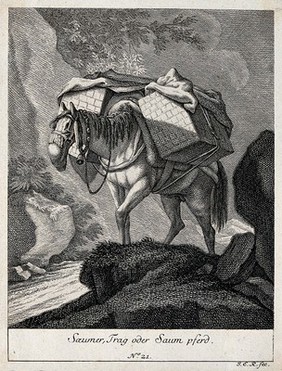 A muzzled pack-horse with a bell around its neck walking on a rocky path packed with two large boxes. Etching by J. E. Ridinger.