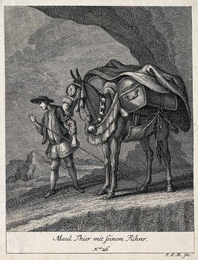 A muzzled, harnessed and loaded mule and its muleteer are standing in a rocky landscape. Etching by J. E. Ridinger.