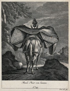 A loaded mule, seen from behind, walking in a mountainous landscape. Etching by J. E. Ridinger.