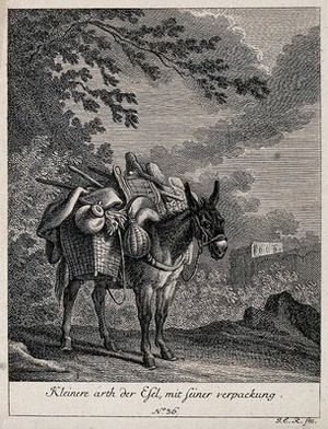 view A small donkey loaded with two full baskets standing outside a forest. Etching by J. E. Ridinger.