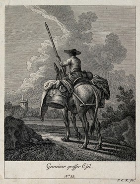 A loaded donkey carrying its drover, seen from behind, with a town wall and turret in the background. Etching by J. E. Ridinger.