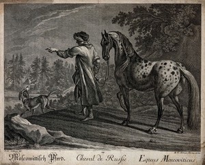 view A man in a Russian attire is leading a spotted white horse at its reins out of the forest on to a clearing. Etching by M. E. Ridinger after J. E. Ridinger.