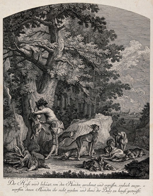 A pack of hunting dogs is resting amidst the prey on a forest-clearing while the huntsman is gutting a hare. Etching by J. E. Ridinger.
