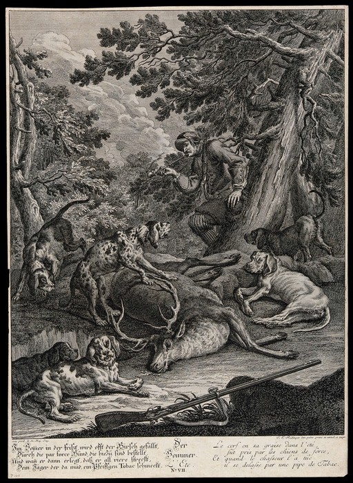 A pack of hunting hounds is resting next to a dead stag while the huntsman is leaning on a tree smoking a pipe. Etching by J. E. Ridinger.