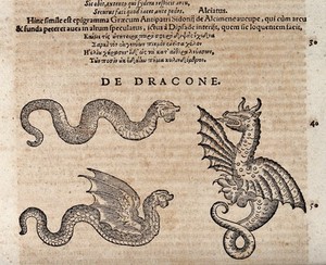 view A serpent, a winged serpent and a dragon. Woodcut after C. Gessner.