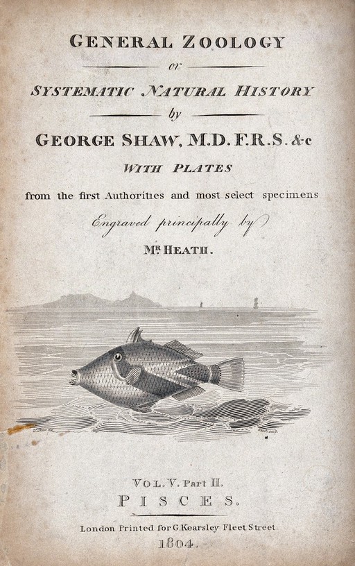A fish swimming in the sea. Engraving by Heath.