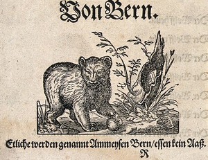 view A bear playing with soil near a tree trunk. Woodcut.