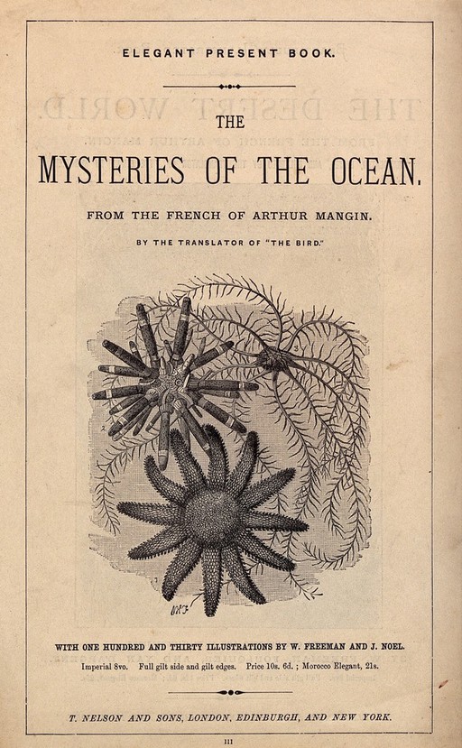 Three sea-creatures. Wood engraving.