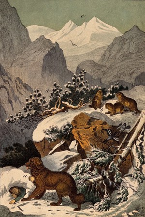 view A St. Bernard dog is rescuing a man buried under a mass of snow in a mountainous landscape. Colour lithograph.