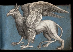 view A griffen: side view of the mythical beast. Cut-out engraving pasted onto paper, 16--?.