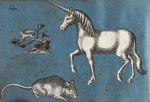 view A unicorn, a squirrel and a mouse. Cut-out engravings pasted onto paper, 16--?.