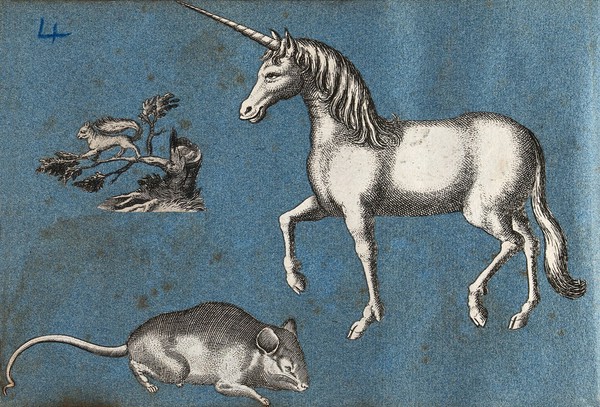 A unicorn, a squirrel and a mouse. Cut-out engravings pasted onto paper, 16--?.