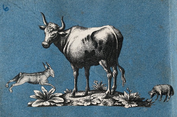 A cow, a hare and a sheep. Cut-out engravings pasted onto paper, 16--?.