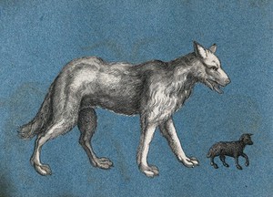 view A wolf and a lamb. Cut-out engravings pasted onto paper, 16--?.