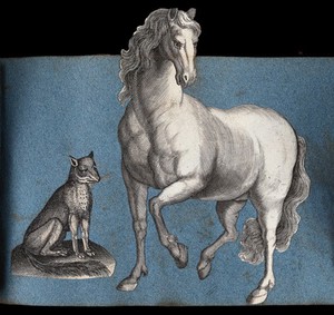 view A fox and a horse. Cut-out engravings pasted onto paper, 16--?.