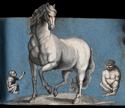 Two monkeys and a horse. Cut-out engravings pasted onto paper, 16--?.