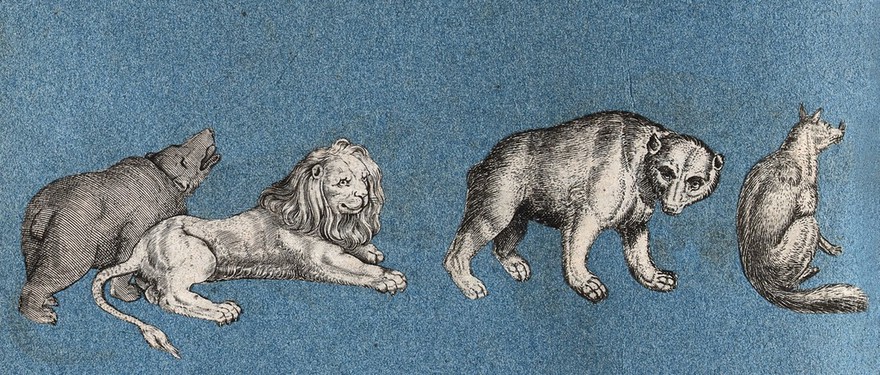 Two bears, a lion and a fox. Cut-out engraving pasted onto paper, 16--?.