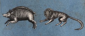 view A wild boar (or warthog?) and a monkey. Cut-out engraving pasted onto paper, 16--?.