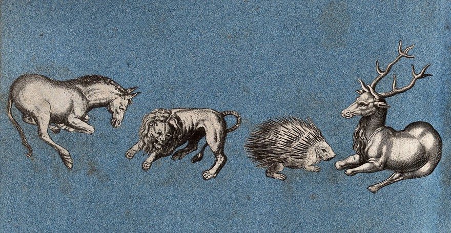 A horse, a lion, a hedghog and a stag. Cut-out engraving pasted onto paper, 16--?.