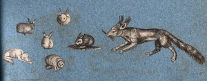 view Four rabbits, a hedgehog (?) and two foxes. Cut-out engraving pasted onto paper, 16--?.