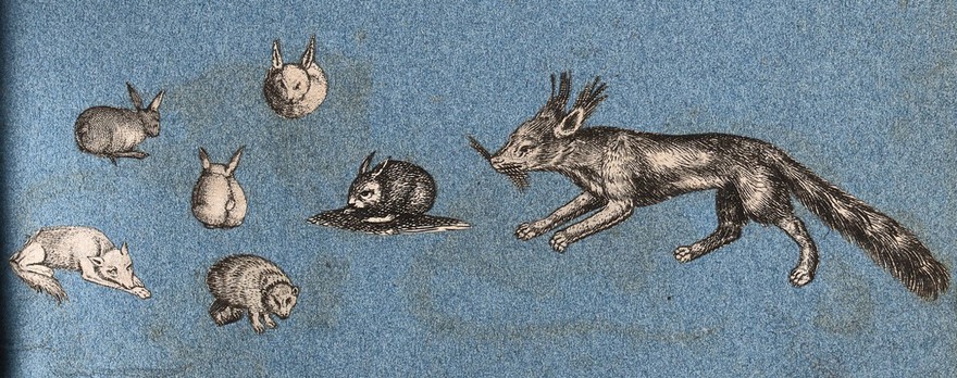 Four rabbits, a hedgehog (?) and two foxes. Cut-out engraving pasted onto paper, 16--?.