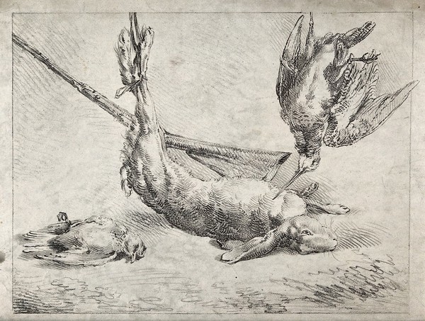 Dead game animals and birds, lying beside a rifle: a long-beaked bird and a hare are shown hanging by their feet, with another small bird lying on the ground. Mixed method print attributed to James Ward, ca. 1794.