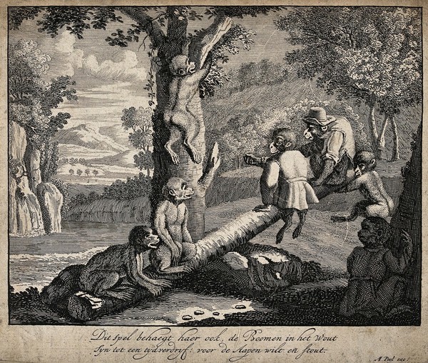 Apes, some in clothes, sitting below a forest tree and using a log as a see-saw. Etching by M. Pool