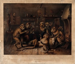 view Debauched monkeys revelling in a dingy tavern as two have a boxing match. Coloured lithograph by T. Fairland after E. Bristow.