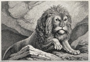 view A large lion ascending a hill. Etching by W-S Howitt after himself.