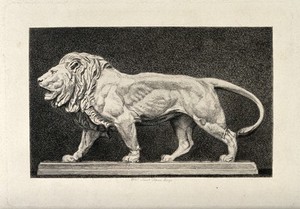 view A bronze statue of a lion. Etching by A Lurat after A-L Barye.