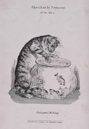 view A cat pawing at goldfish in a bowl. Lithograph after R. Seymour.