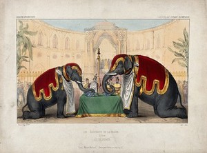 view Two circus elephants performing to a crowd by drinking and eating from a table. Coloured lithograph.
