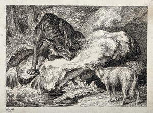 view A large wolf snarling from across a stream at a bleating lamb. Etching by W-S Howitt.