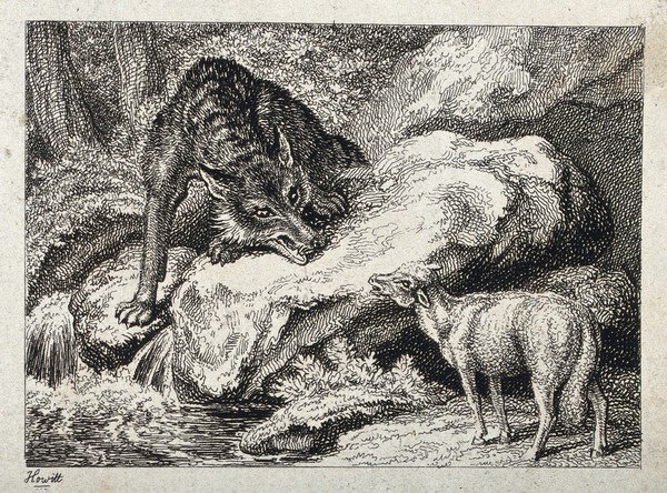 A large wolf snarling from across a stream at a bleating lamb. Etching by W-S Howitt.