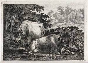 view Two cows resting by a woodland pool as a boy pipes in the tree above. Etching by C.-W. Kolbe, the elder.