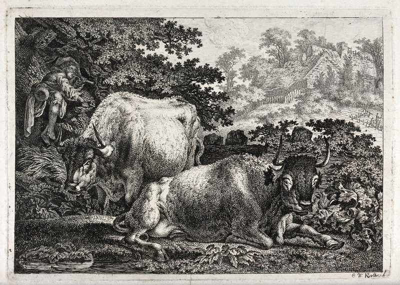 Two cows resting by a woodland pool as a boy pipes in the tree above. Etching by C.-W. Kolbe, the elder., by Carl Wilhelm Kolbe