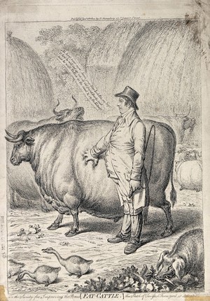 view A fat judge pinching and admiring the fat on the side of a fat bullock. Etching by J. Gillray, ca 1802.
