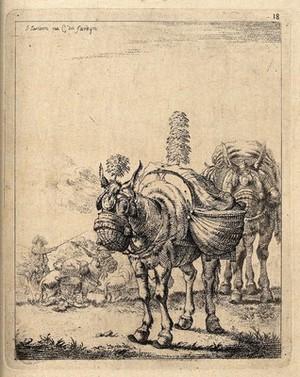 view A procession of travelling donkeys with saddle-bags and nose-bags. Lithograph after J. Janson, the elder.