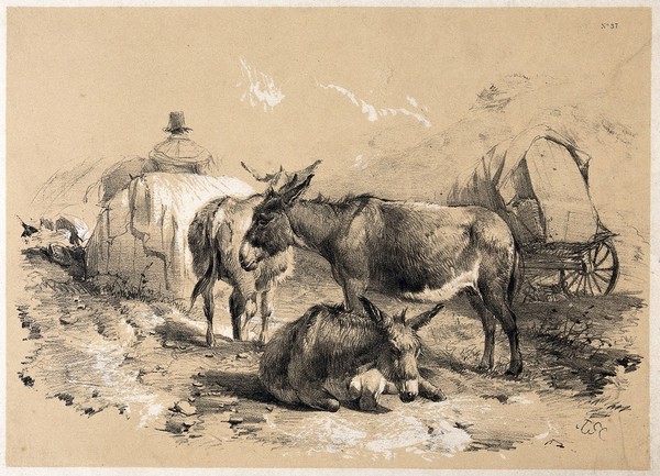 Three donkeys resting by a cart. Lithograph with gouache by A. Ducote after T.S. Cooper.