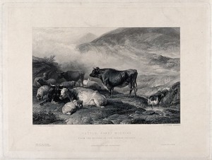 view Cows and sheep by an upland stream with a goat standing in the water. Engraving by J. Cousen after T. S. Cooper.